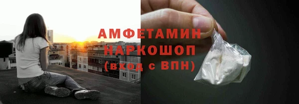 ПСИЛОЦИБИНОВЫЕ ГРИБЫ Михайлов