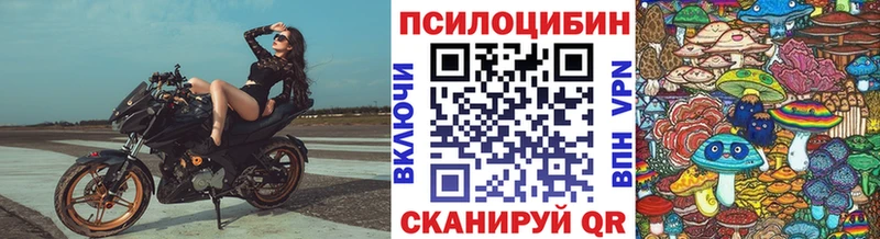где можно купить   Тольятти  Галлюциногенные грибы Cubensis 